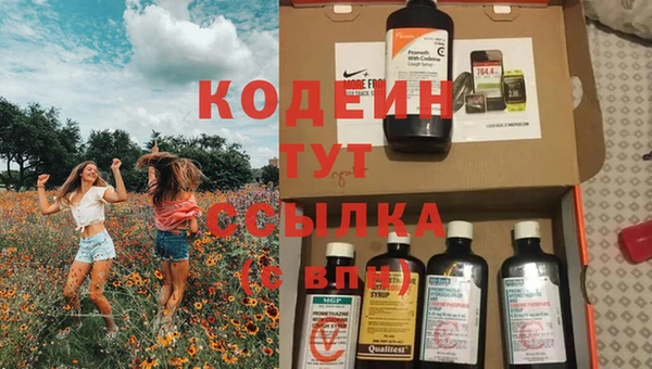 ПСИЛОЦИБИНОВЫЕ ГРИБЫ Ельня