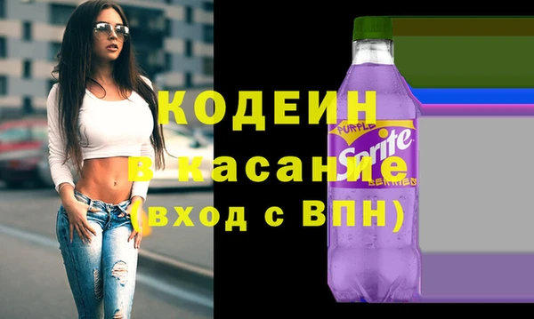 ПСИЛОЦИБИНОВЫЕ ГРИБЫ Ельня