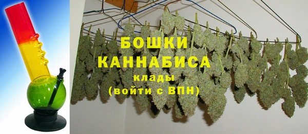 мяу мяу мука Гусь-Хрустальный
