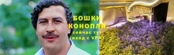 ПСИЛОЦИБИНОВЫЕ ГРИБЫ Ельня