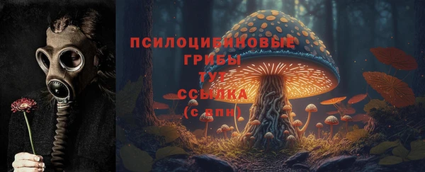 ПСИЛОЦИБИНОВЫЕ ГРИБЫ Ельня