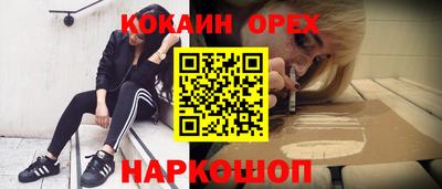 apvp Можга