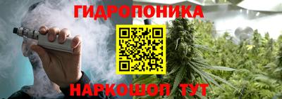 apvp Можга