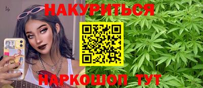 apvp Можга
