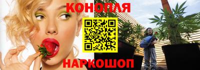 кокс Моздок