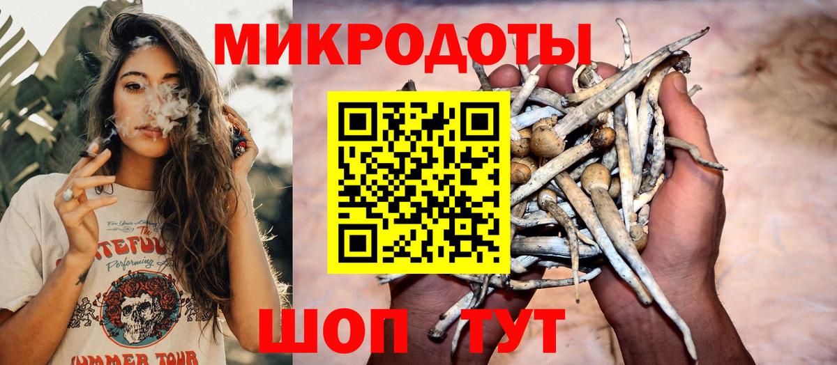 Псилоцибиновые грибы мицелий  Псилоцибиновые грибы Cubensis  Вход с VPN  Чайковский 