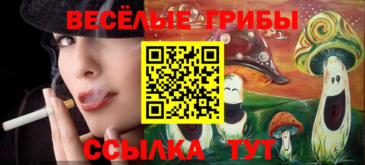 Галлюциногенные грибы прущие грибы Чайковский